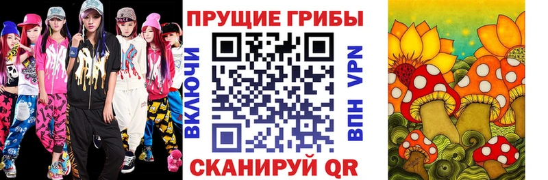 Галлюциногенные грибы Cubensis  Малаховка 